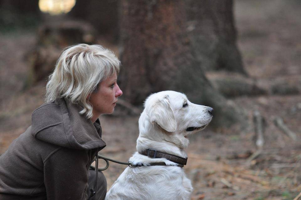Bianca de Salvia Apiana Zlatý retrívr golden retriever