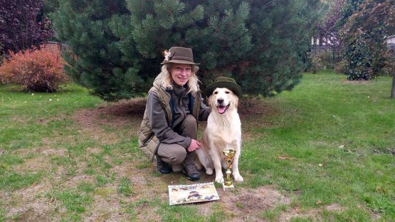 Carolin de Salvia Minor Zlatý retrívr golden retriever