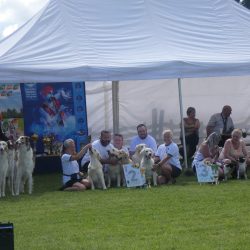 2. místo ChS