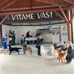 Oblastní klubová výstava KCHLS Kelč - Provodovice