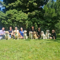 Sobotní tým 15.-16. 6. Klubová a speciální výstava Retriever klubu