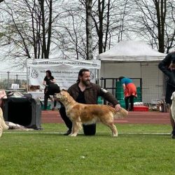 Oblastní klubová výstava KCHLS Kelč - Provodovice