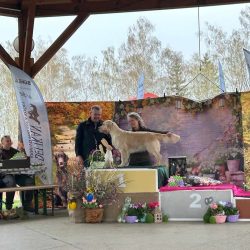 Oblastní klubová výstava KCHLS Kelč - Provodovice