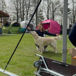 Oblastní klubová výstava KCHLS Kelč - Provodovice